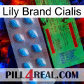 Lily Brand Cialis new03